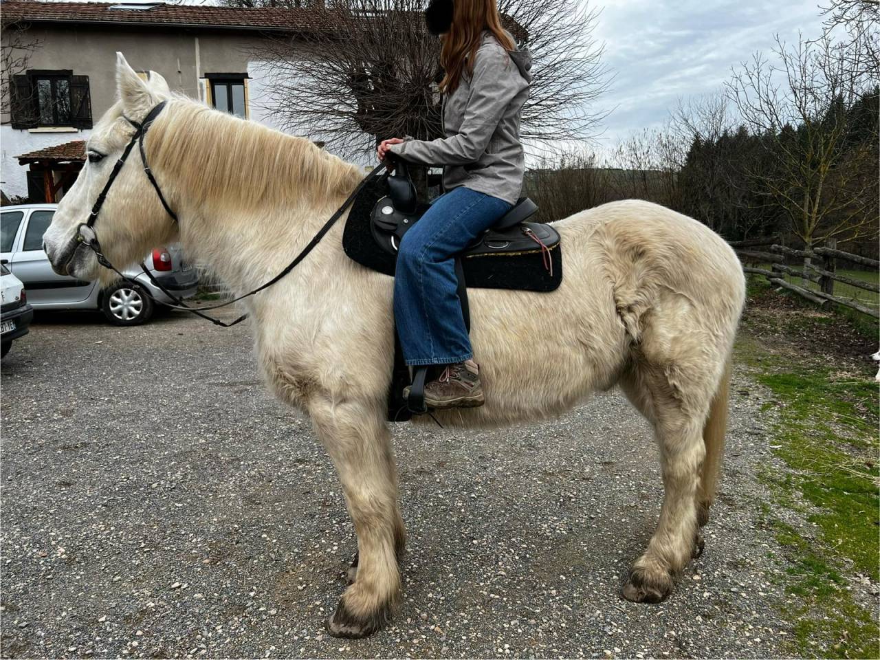 Chevaux de Loisirs à louer