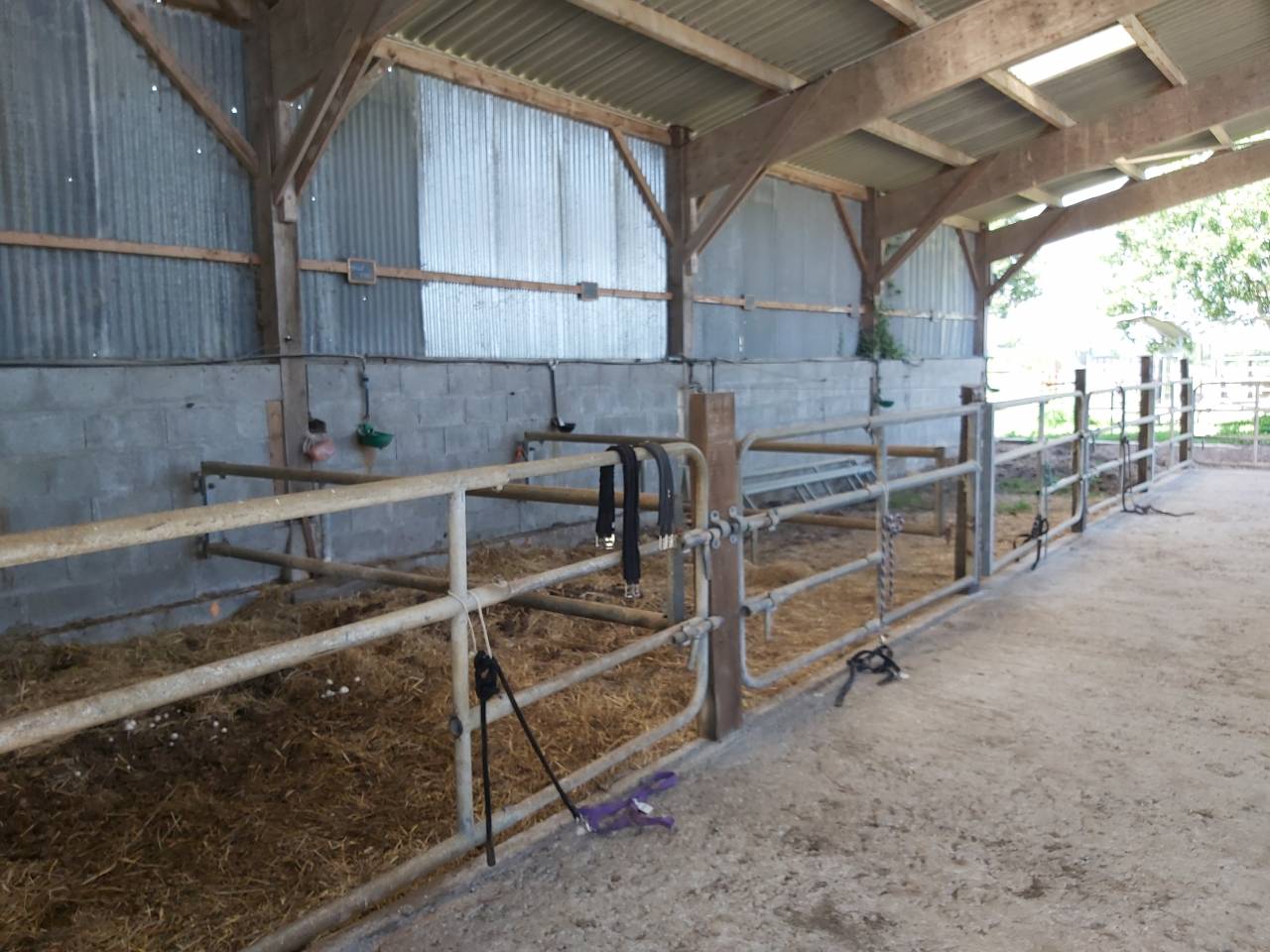 NORD de NANTES - ÉCURIE - Maison - 7 HECTARES