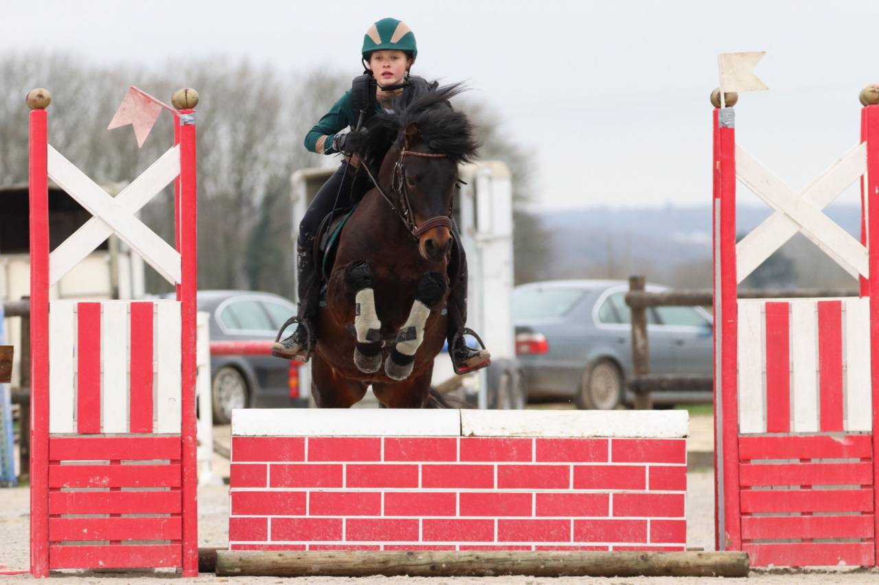 Trewassick Warleggan, étalon Dartmoor