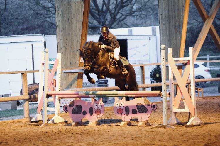 Trewassick Warleggan, étalon Dartmoor