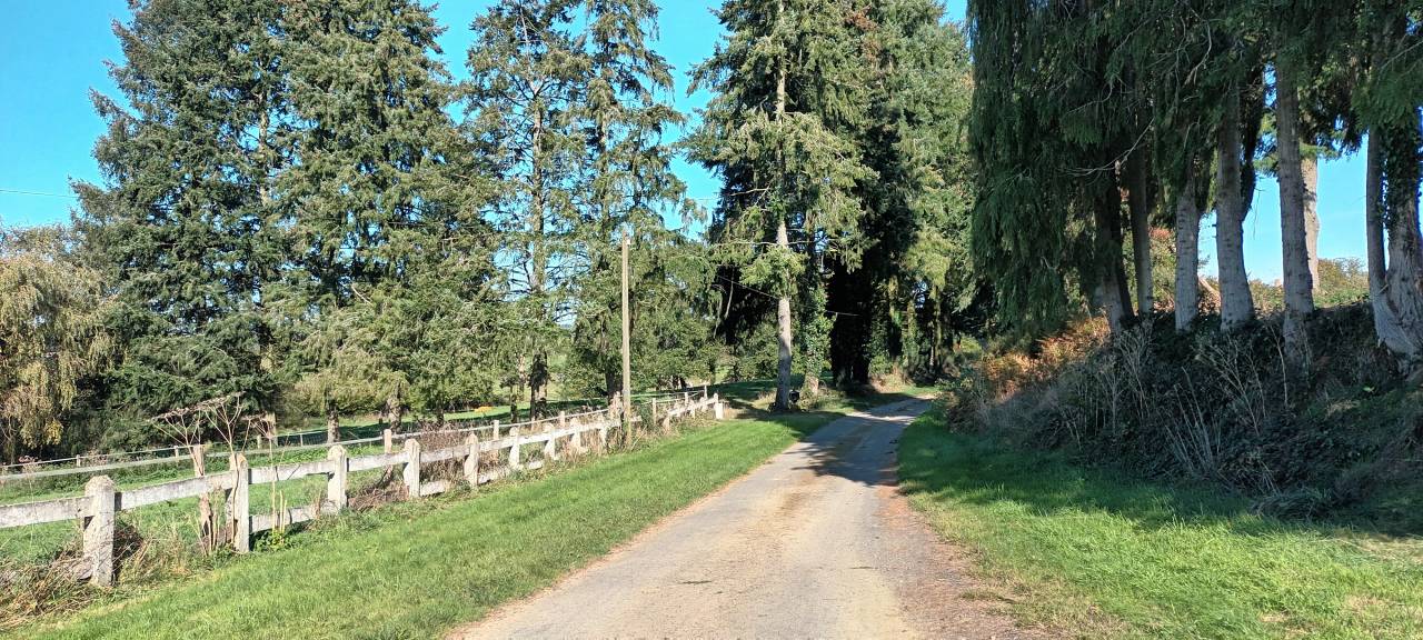 Haras sur 15 ou 29ha avec 2 maisons