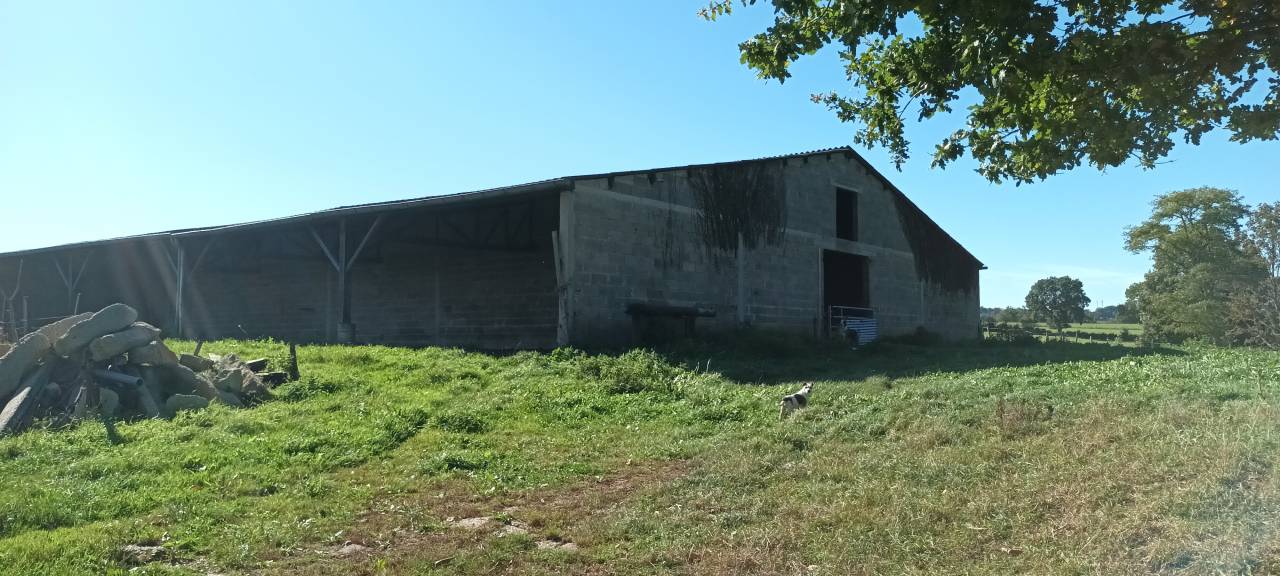 Haras sur 15 ou 29ha avec 2 maisons