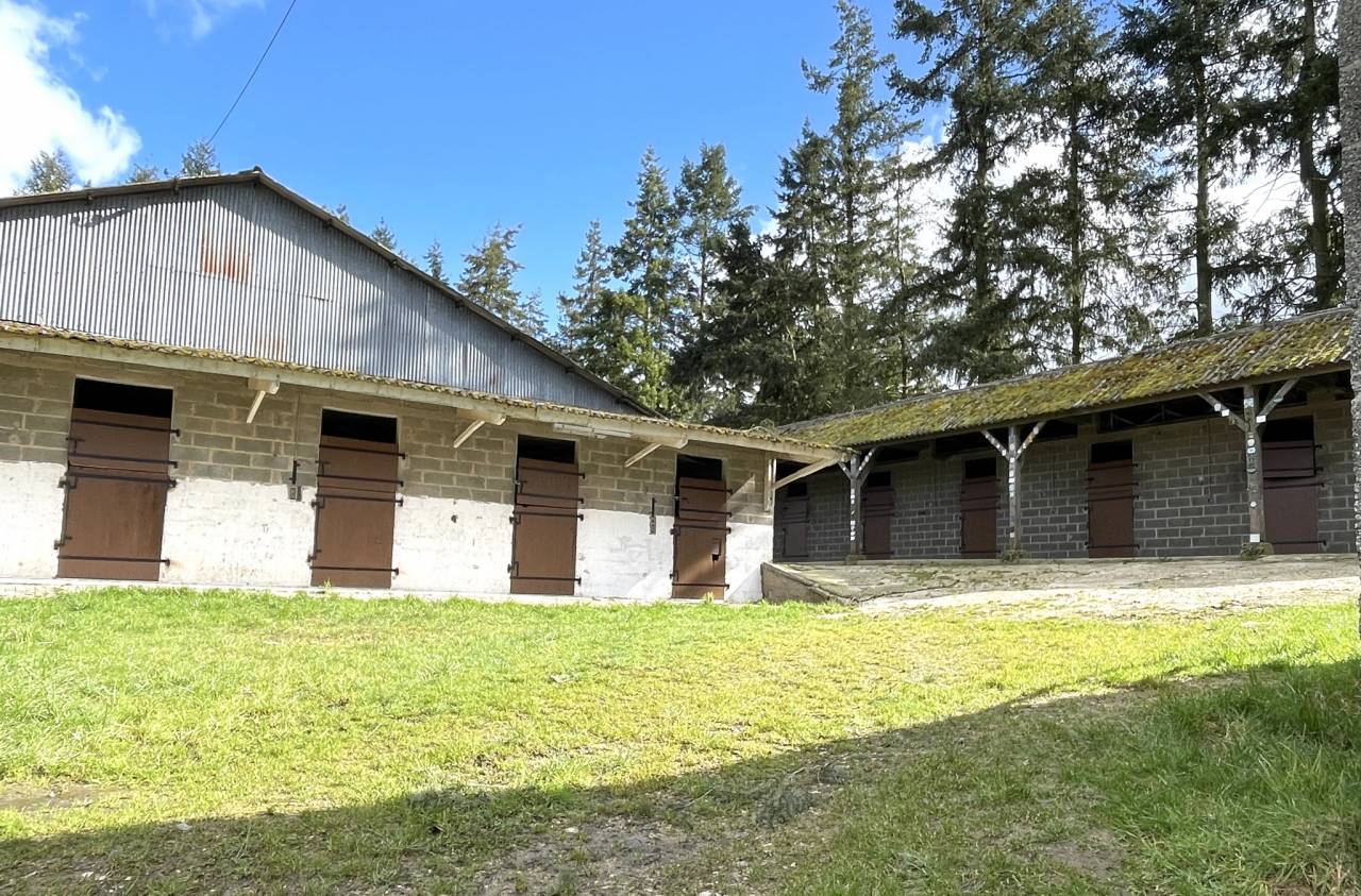 Haras sur 15 ou 29ha avec 2 maisons