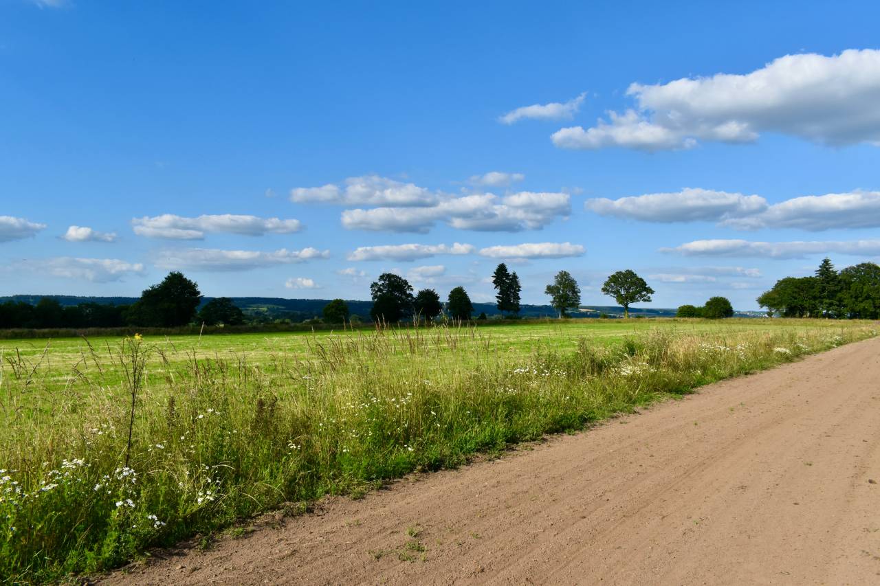 Haras sur 15 ou 29ha avec 2 maisons