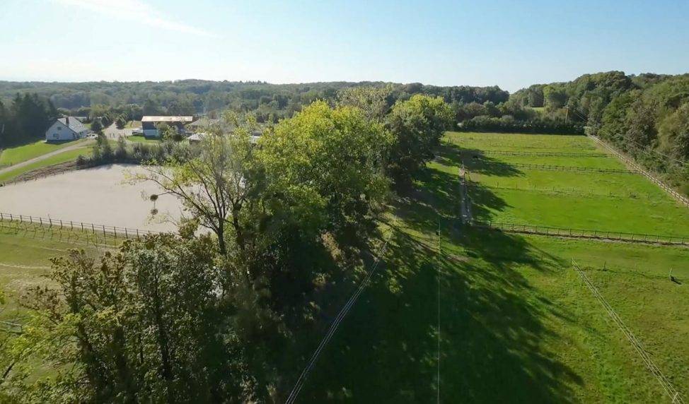 Haras d'exception à vendre en Alsace, 10ha d'un tenant