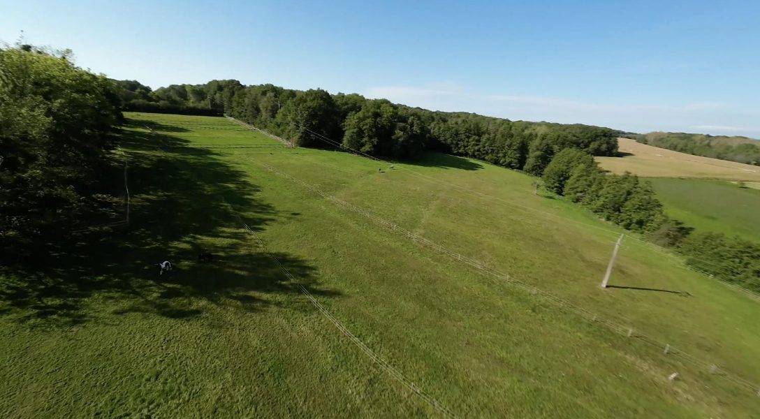 Haras d'exception à vendre en Alsace, 10ha d'un tenant