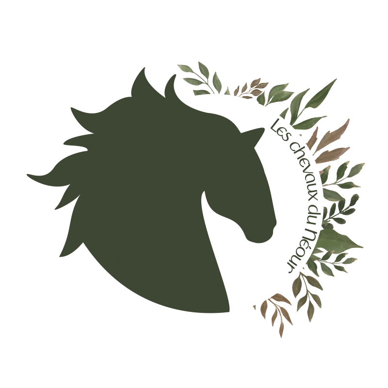 Balades et randonnées à cheval en Bretagne