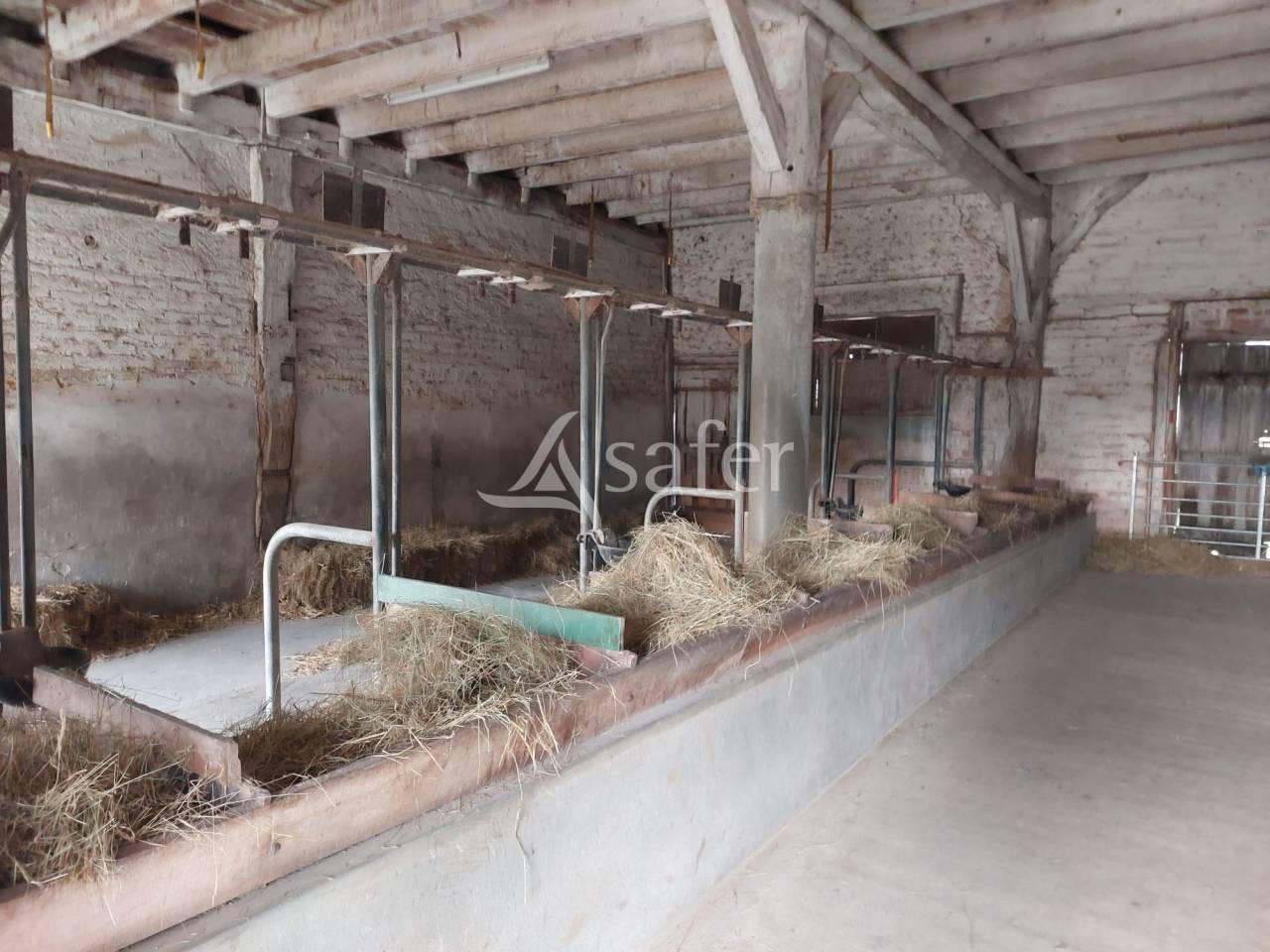 Propriété agricole bio sur 13ha de pré et bois proche Montpon