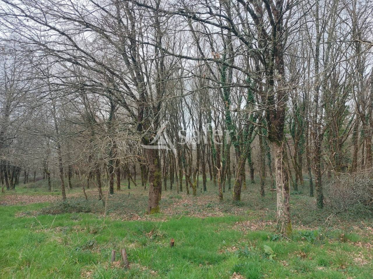 Propriété agricole bio sur 13ha de pré et bois proche Montpon