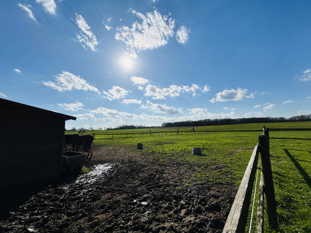 Maison avec terrain attenant