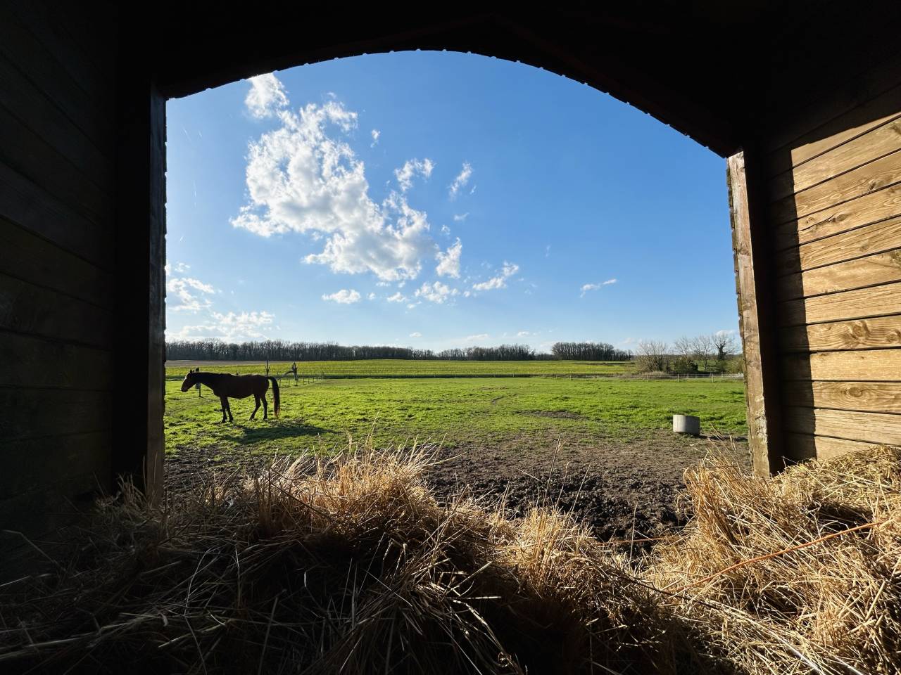 Maison avec terrain attenant