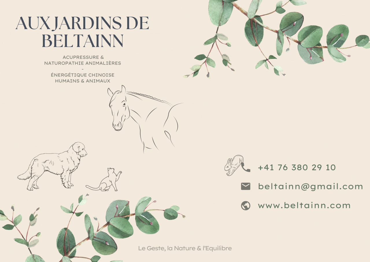 Bien-être et Équilibre - Acupressure équine (MTC)