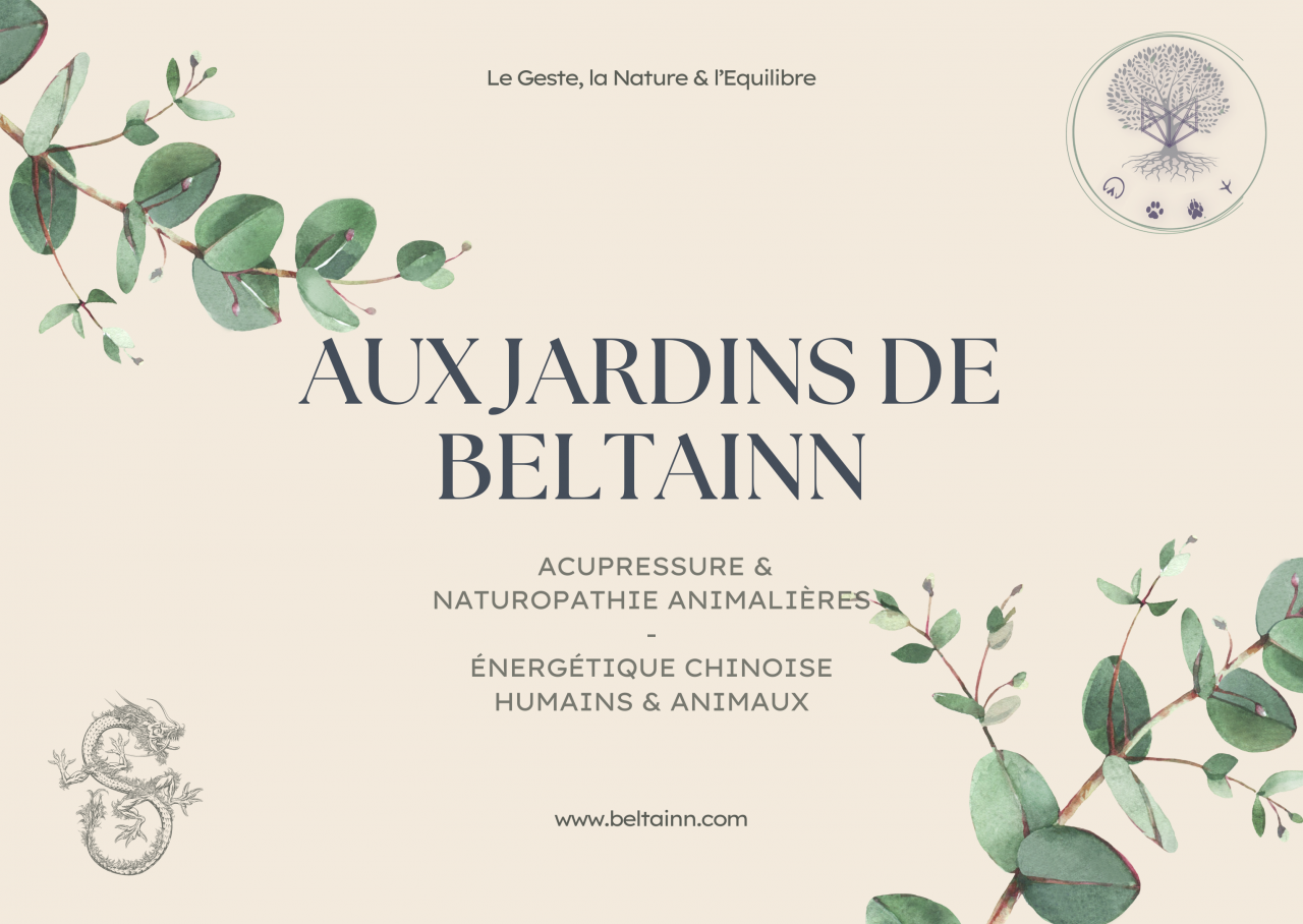 Bien-être et Équilibre - Acupressure équine (MTC)