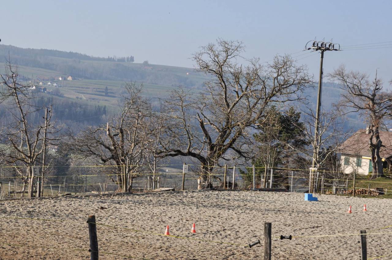 Place en stabulation libre - Domaine de bressonnaz