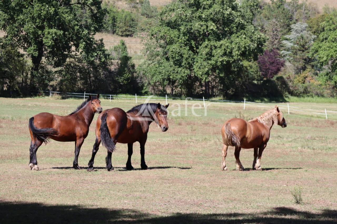 Domaine avec accueil touristique et équin sur 8ha sud ISSOIRE