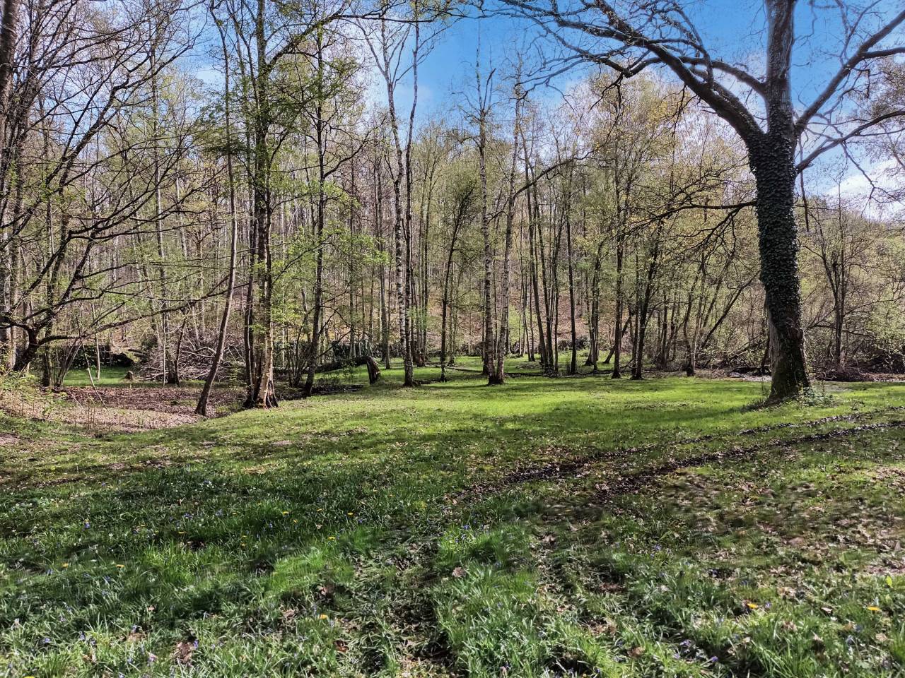 Proprieté en lisiere de forêt de Rambouillet sur 10ha