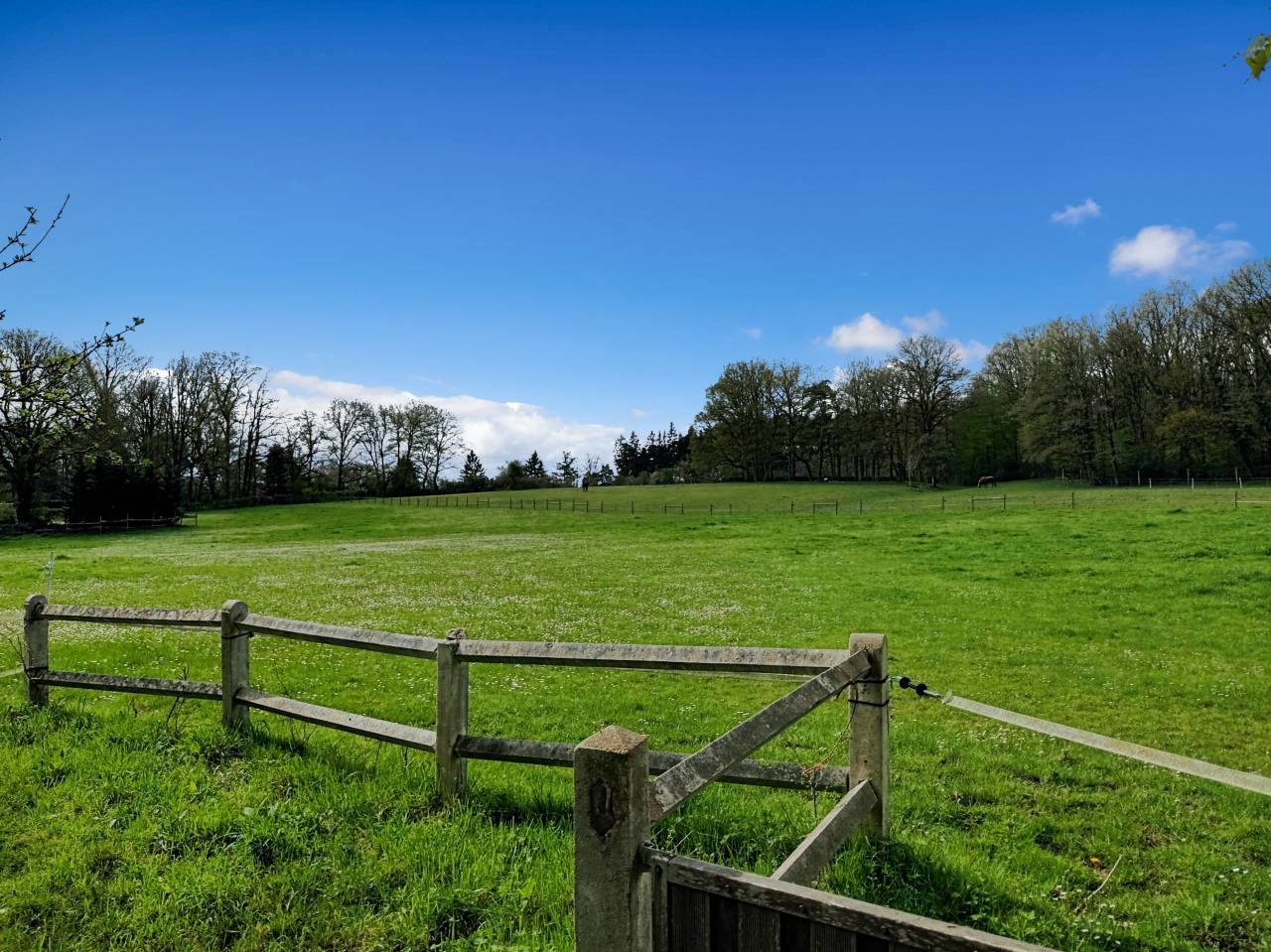 Proprieté en lisiere de forêt de Rambouillet sur 10ha