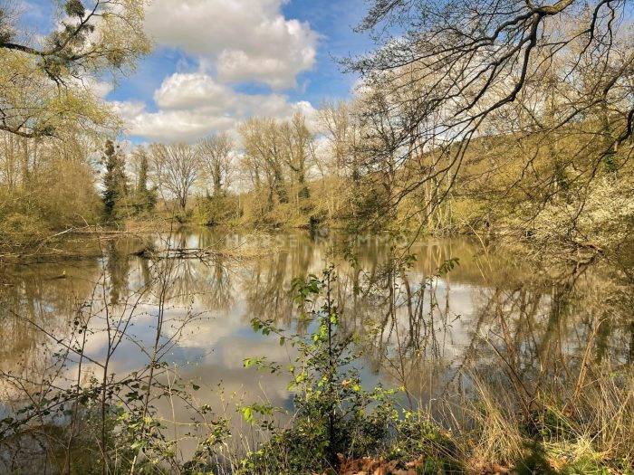 Haras, Propriété de Charme 20 hectares
