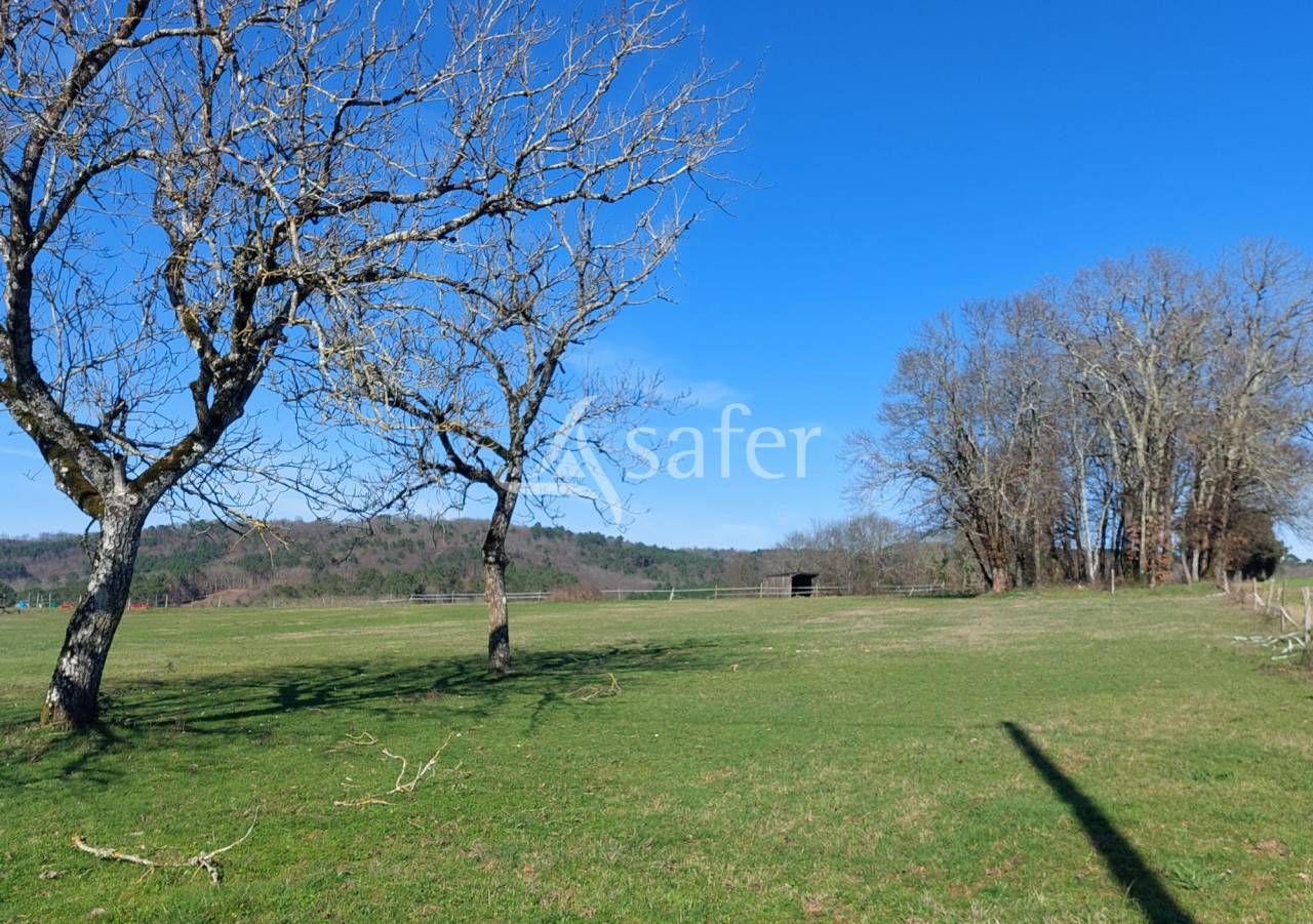 Belle propriété bâtie sur 18ha de prés et bois en Périgord