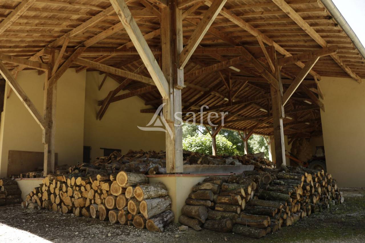 Proche Toulouse - Bien d'exception dans le Gers sur 139 ha