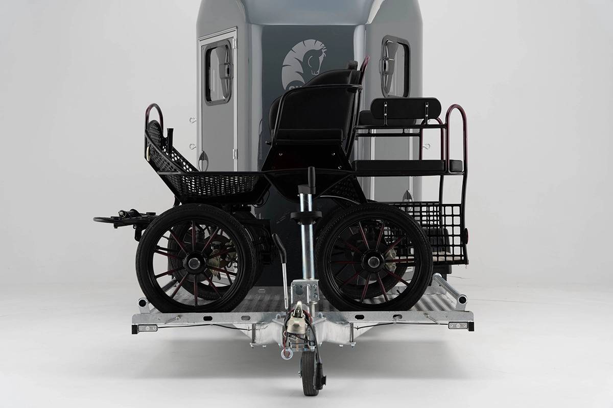 Gold Marathon - Van 2 places + Porte calèche