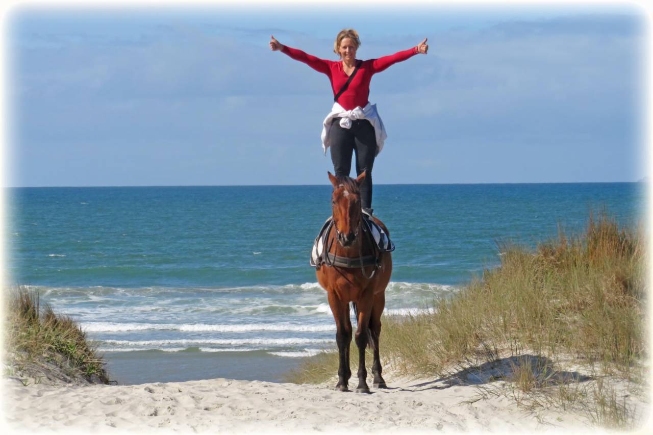 La méthode équine Impériale vous présente les chevaux..