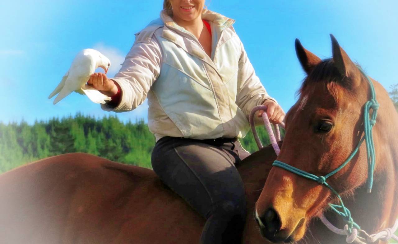 La méthode équine Impériale vous présente les chevaux..