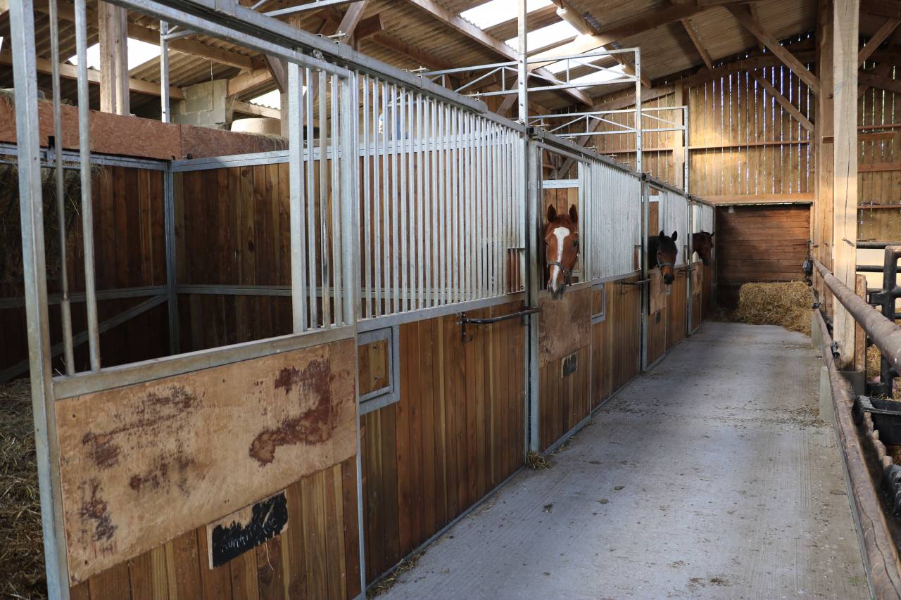 HARAS 23 HA ENTRE LISIEUX ET PONT - L'EVÊQUE