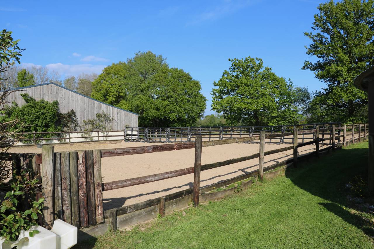 HARAS 23 HA ENTRE LISIEUX ET PONT - L'EVÊQUE
