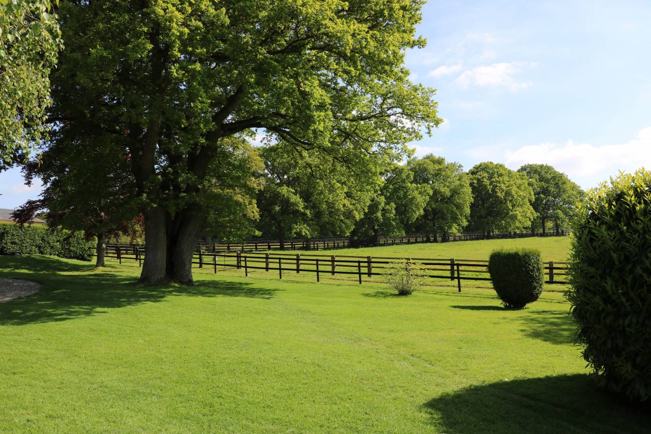 PLAISANT HARAS TRÈS COMPLET - 46 HA - RÉGION LISIEUX - 