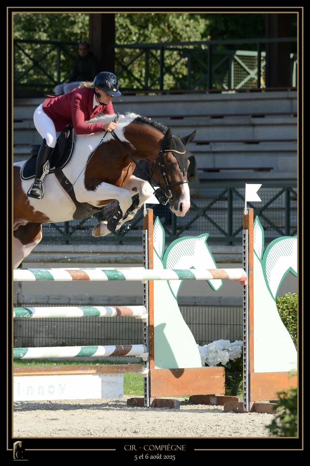 Saillie Etalon Pie JERICHO DU LAGON