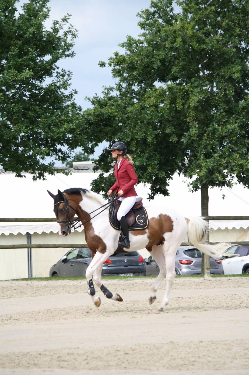 Saillie Etalon Pie JERICHO DU LAGON