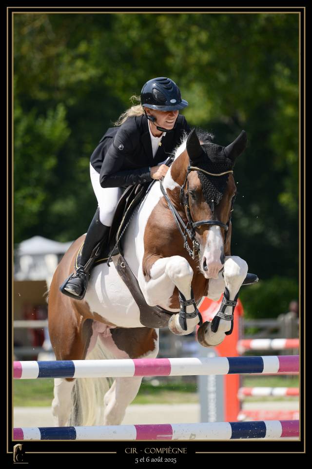 Saillie Etalon Pie JERICHO DU LAGON