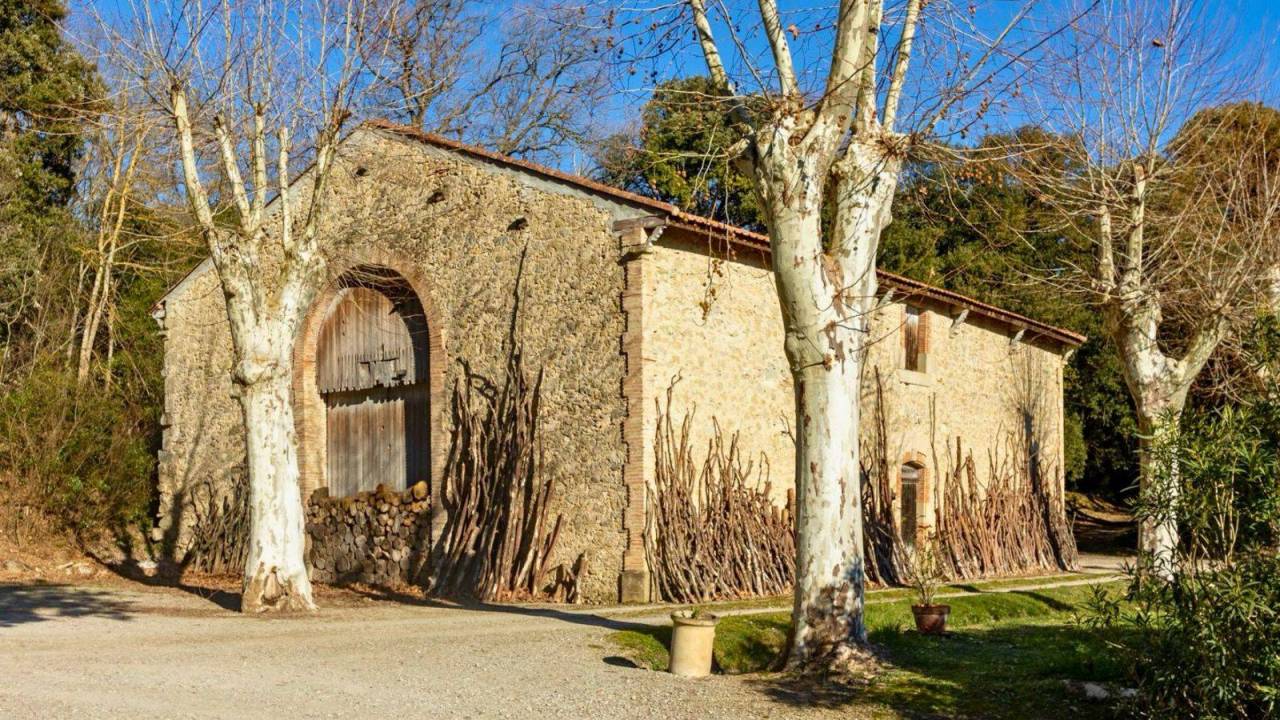 Propriété de 3,7 hectares (11)