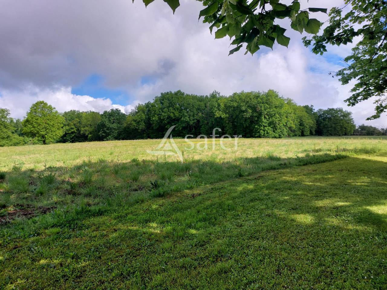 Propriété bâtie sur 20ha avec belle maison du 17ème siècle,