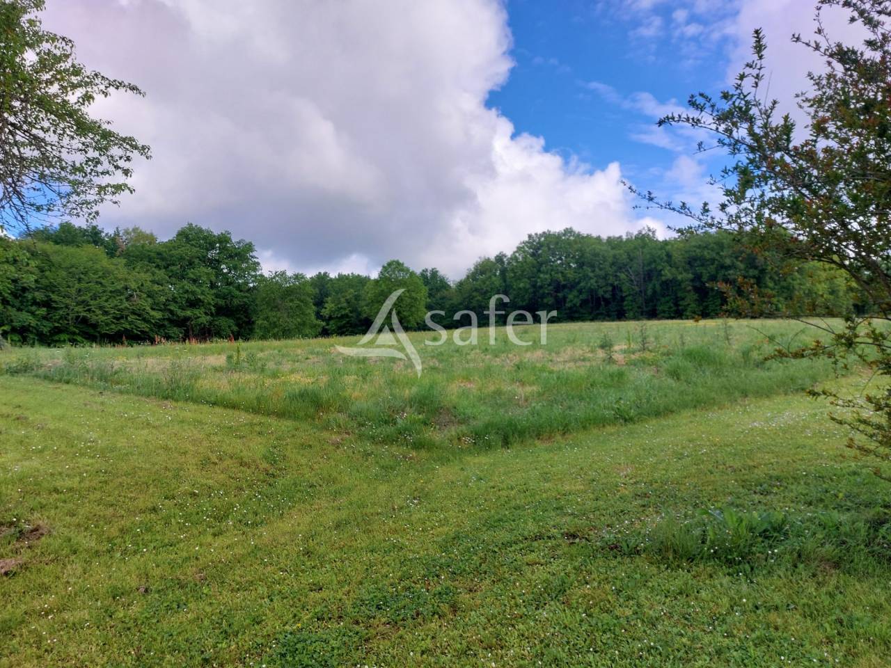 Propriété bâtie sur 20ha avec belle maison du 17ème siècle,