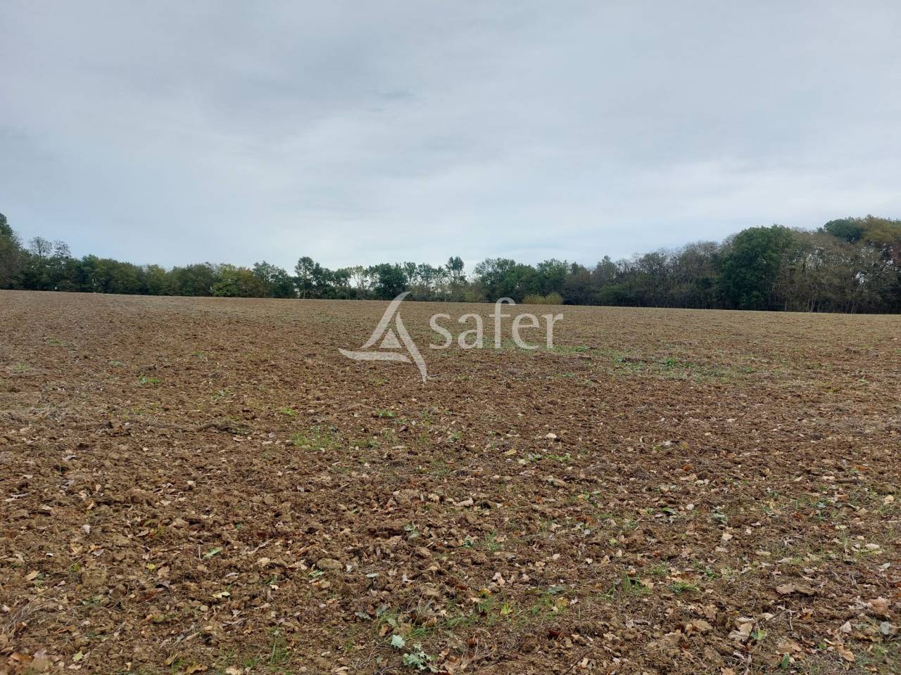Propriété bâtie sur 20ha avec belle maison du 17ème siècle,