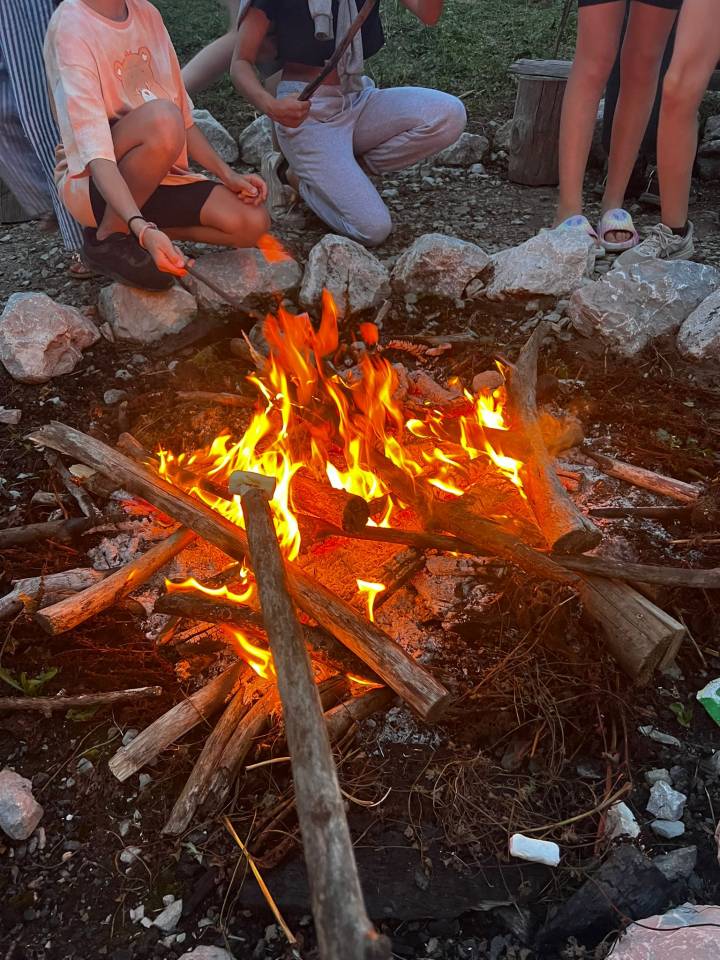 Camps d'équitation Automne 2025