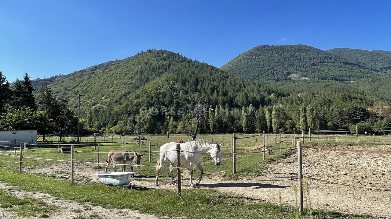 Tourisme équestre - Splendide domaine de 4 hectares