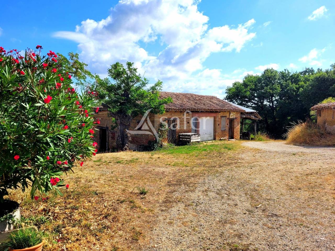 Dans les coteaux de Lomagne propriété à vocation équine de 1