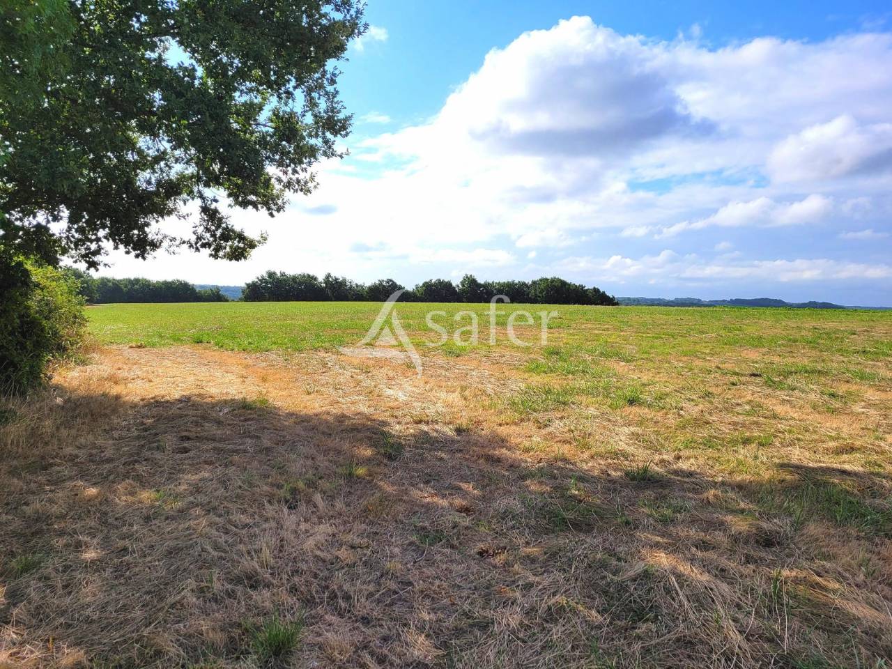 Dans les coteaux de Lomagne propriété à vocation équine de 1