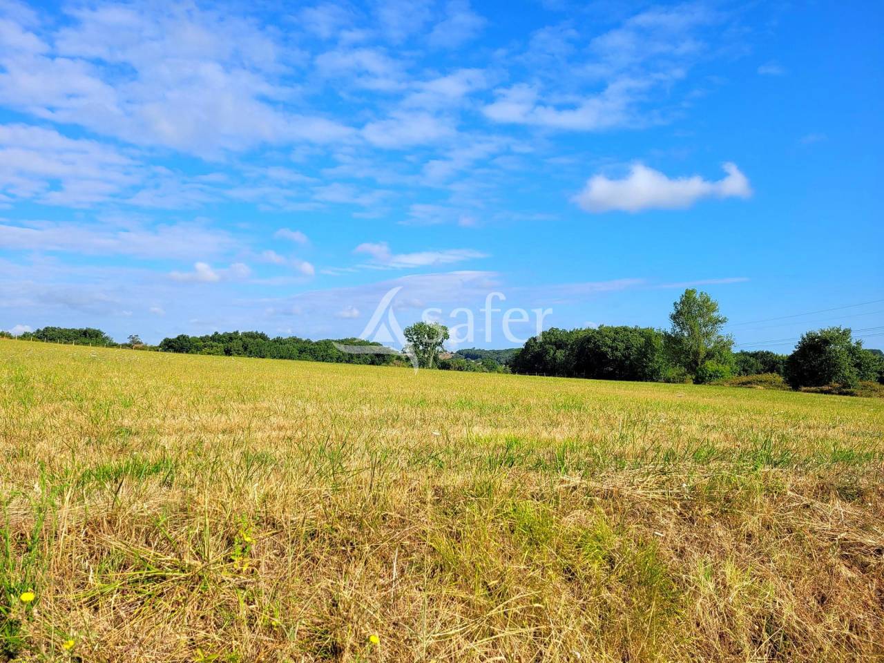 Dans les coteaux de Lomagne propriété à vocation équine de 1