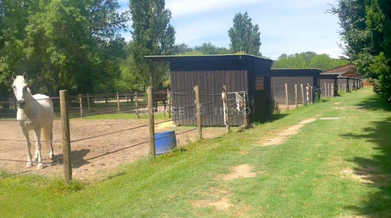 St Rémy de Provence - Splendide propriété équestre