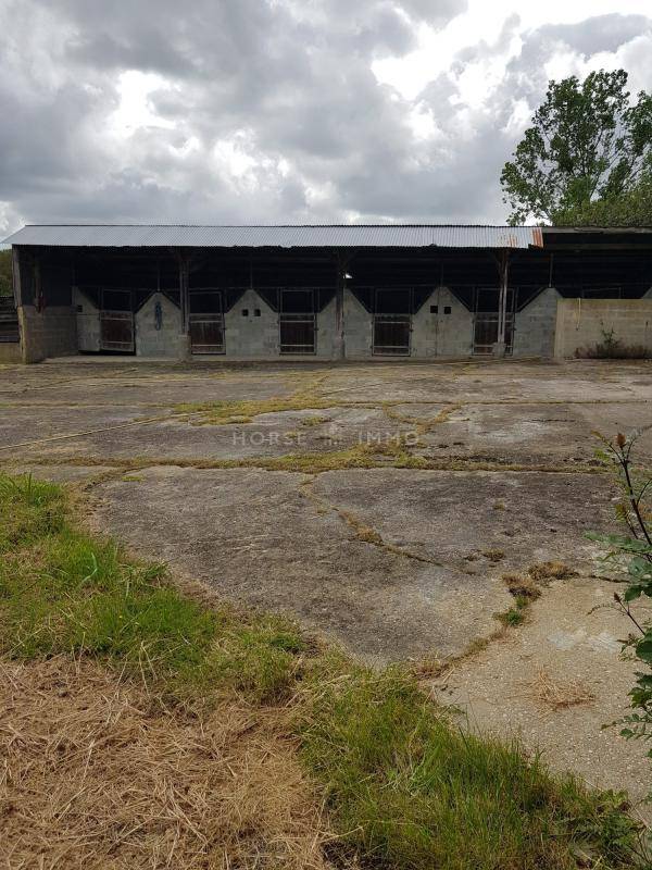 Propriété équestre de charme avec 2 maisons sur 9 hectares ?