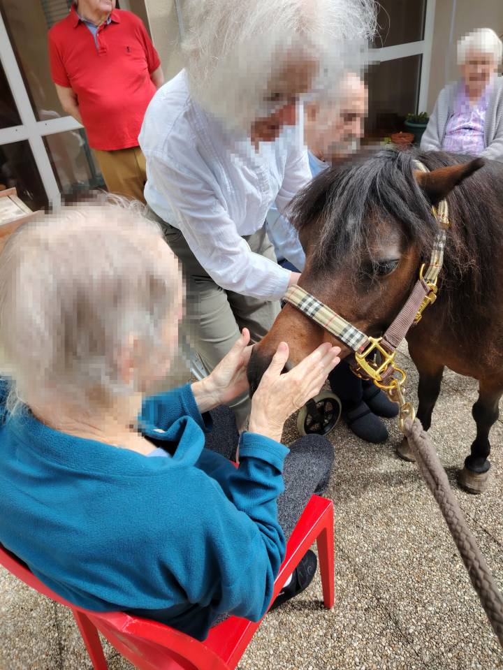 Rech poste monitrice &eacute;quihandi