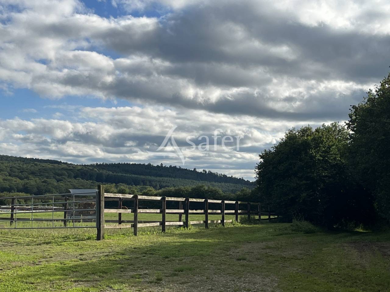 Propriété équestre