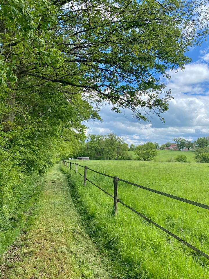 Proche Bourbon l'Archambault