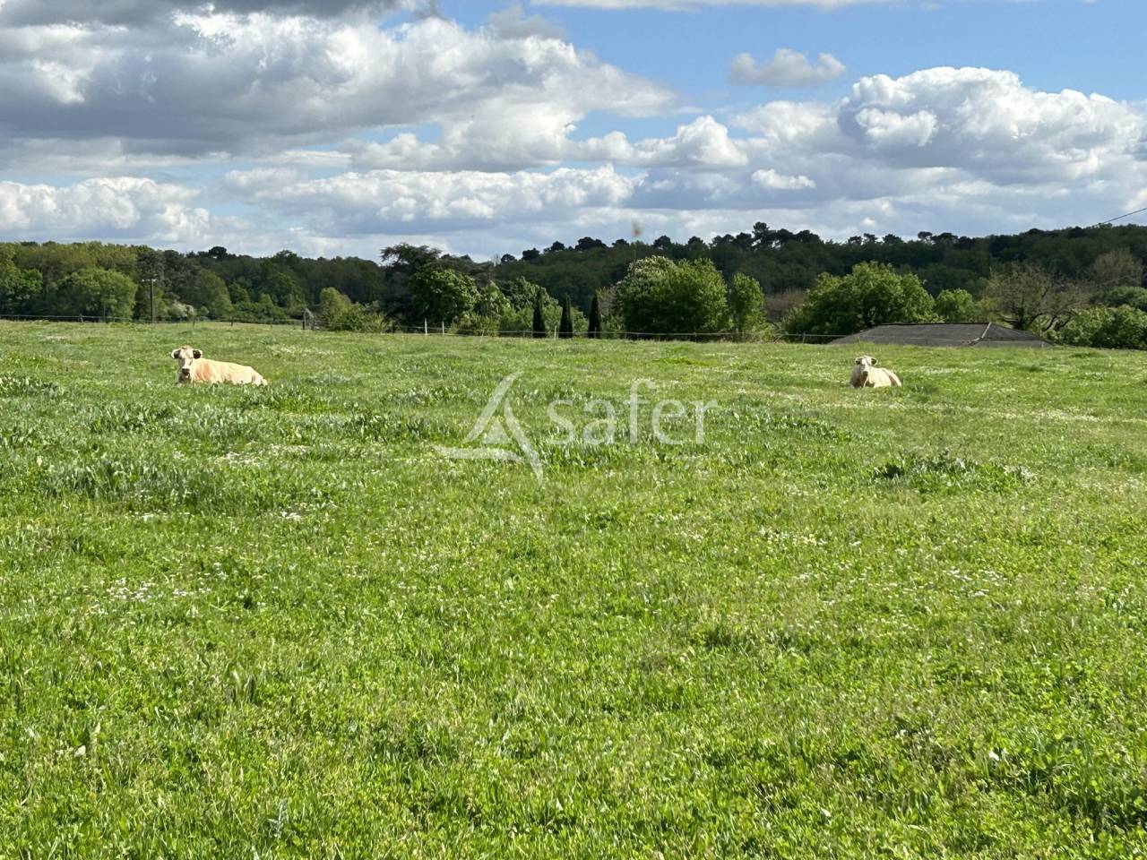 Jolie propriété agricole sur 62ha