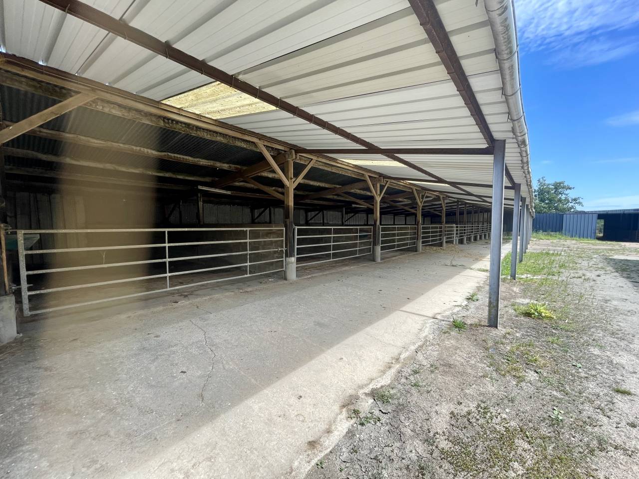 MORTAGNE-AU-PERCHE  – HARAS – 20HA 