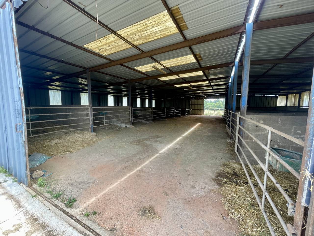 MORTAGNE-AU-PERCHE  – HARAS – 20HA 